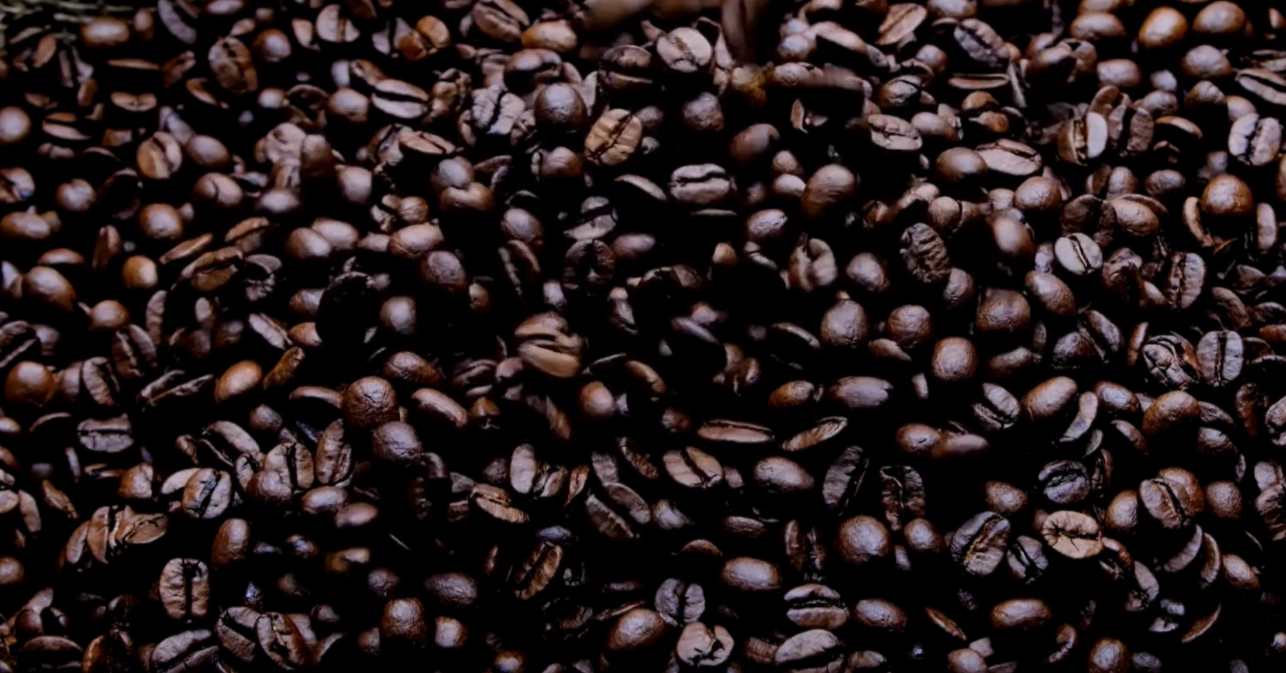 COFFEE BEANS