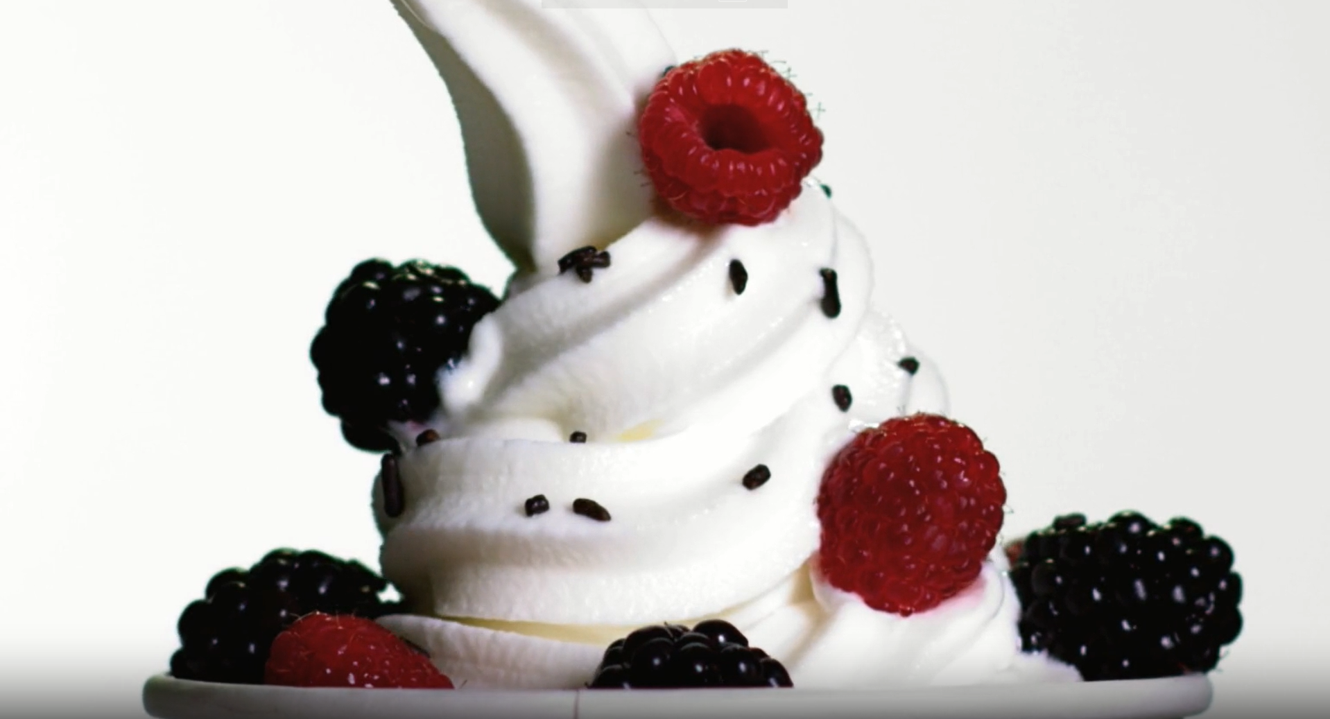FRUIT FROYO